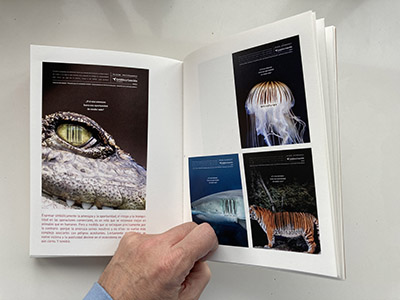 Foto Libro