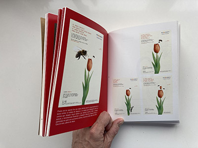 Foto Libro